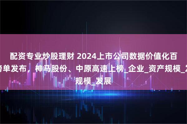 配资专业炒股理财 2024上市公司数据价值化百强榜单发布，神马股份、中原高速上榜_企业_资产规模_发展