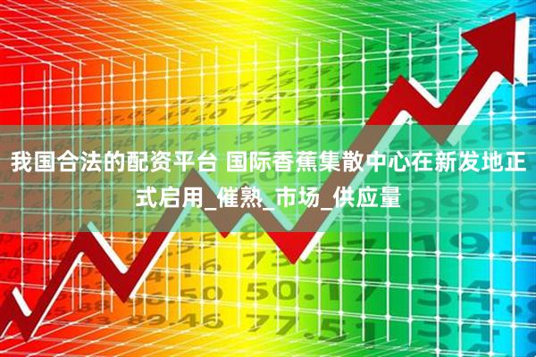 我国合法的配资平台 国际香蕉集散中心在新发地正式启用_催熟_市场_供应量