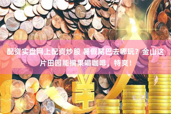 配资实盘网上配资炒股 暑假尾巴去哪玩？金山这片田园能摘果喝咖啡，特爽！