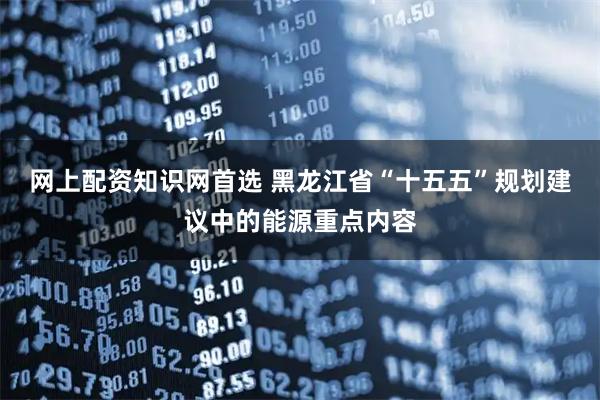 网上配资知识网首选 黑龙江省“十五五”规划建议中的能源重点内容