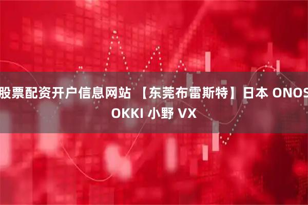 股票配资开户信息网站 【东莞布雷斯特】日本 ONOSOKKI 小野 VX