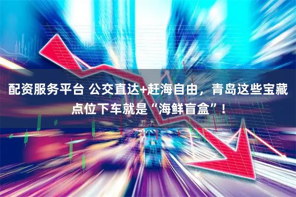配资服务平台 公交直达+赶海自由，青岛这些宝藏点位下车就是“海鲜盲盒”！