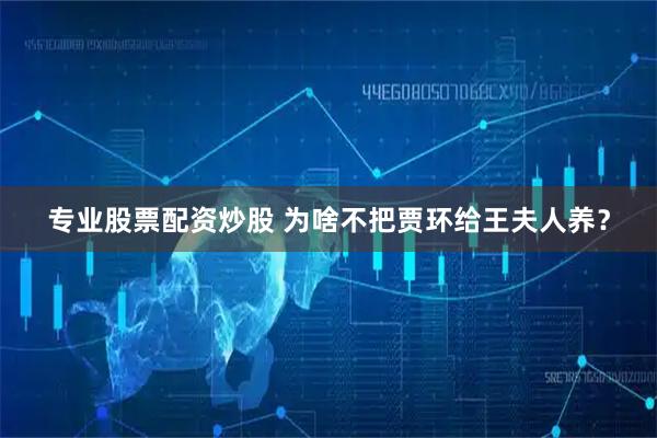 专业股票配资炒股 为啥不把贾环给王夫人养？